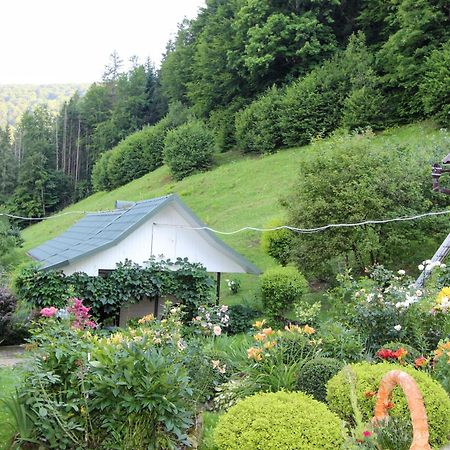 Котедж "Красний Краєвид" Iaremcea Exterior foto