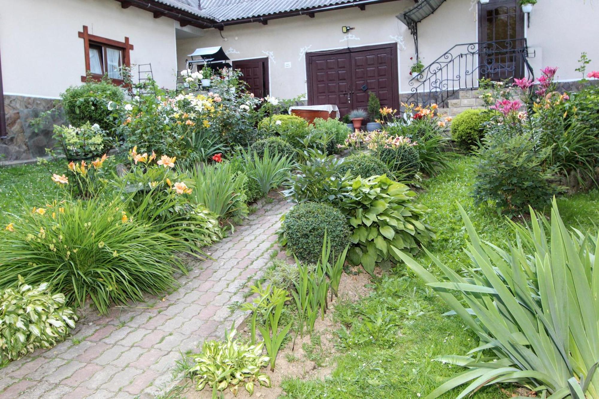 Котедж "Красний Краєвид" Iaremcea Exterior foto
