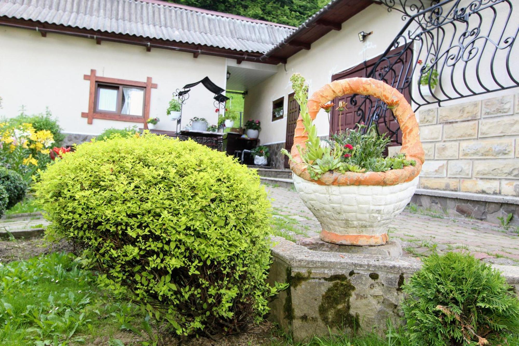 Котедж "Красний Краєвид" Iaremcea Exterior foto