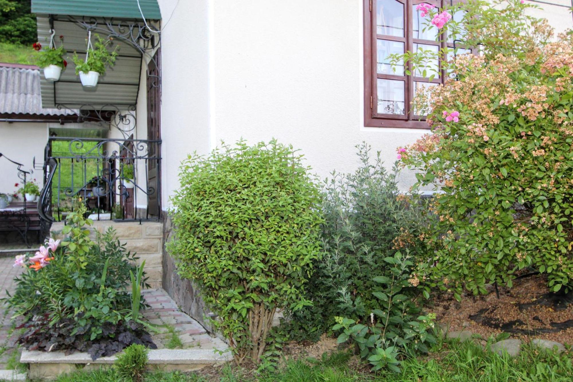 Котедж "Красний Краєвид" Iaremcea Exterior foto