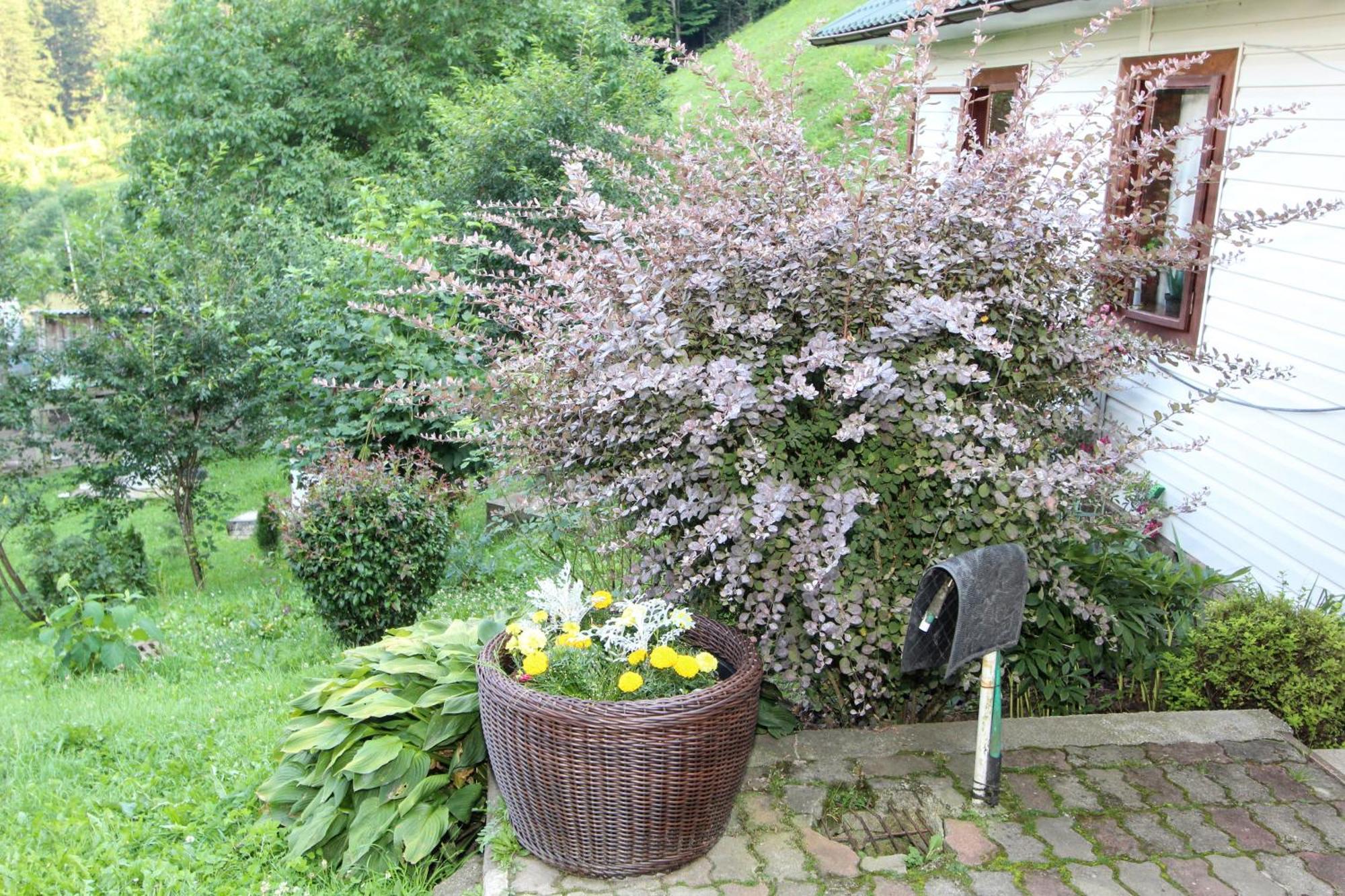 Котедж "Красний Краєвид" Iaremcea Exterior foto